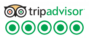 TravelAdvisor